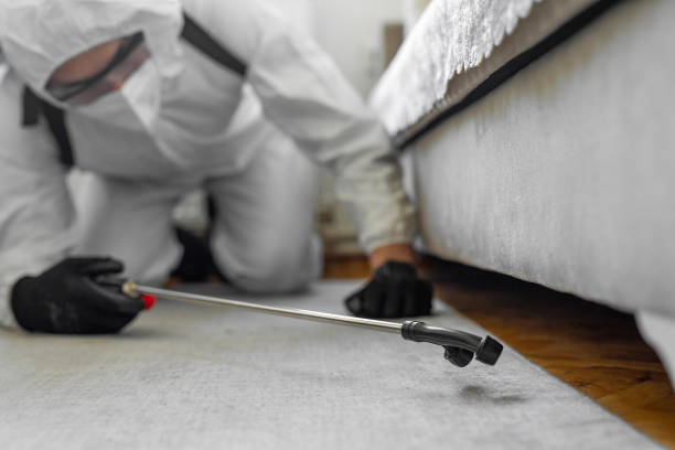 Professional Bed Bug Control technician working in Seguin, TX